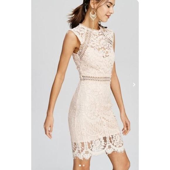 Main Strip Sleeveless Crochet Lace Knee Length Dress Nude Womens Size Medium - Picture 2 of 10